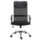 Elva Mesh Back High Back Task Chair